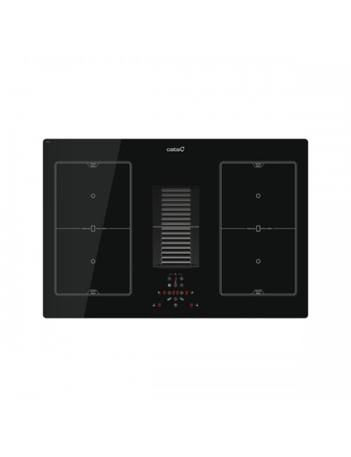 Cata Placa Integración...