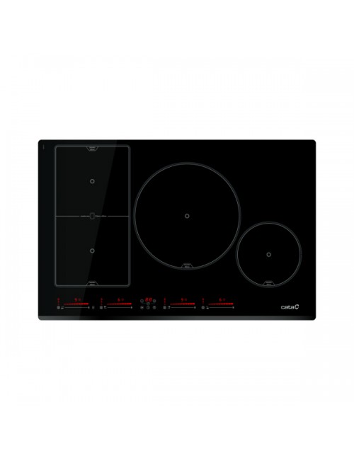 Cata Placa Inducción INSB...