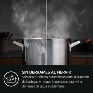 aeg-enc-vitro-ti631q10iz-induccion-3-fuegos-saphir-matt-17